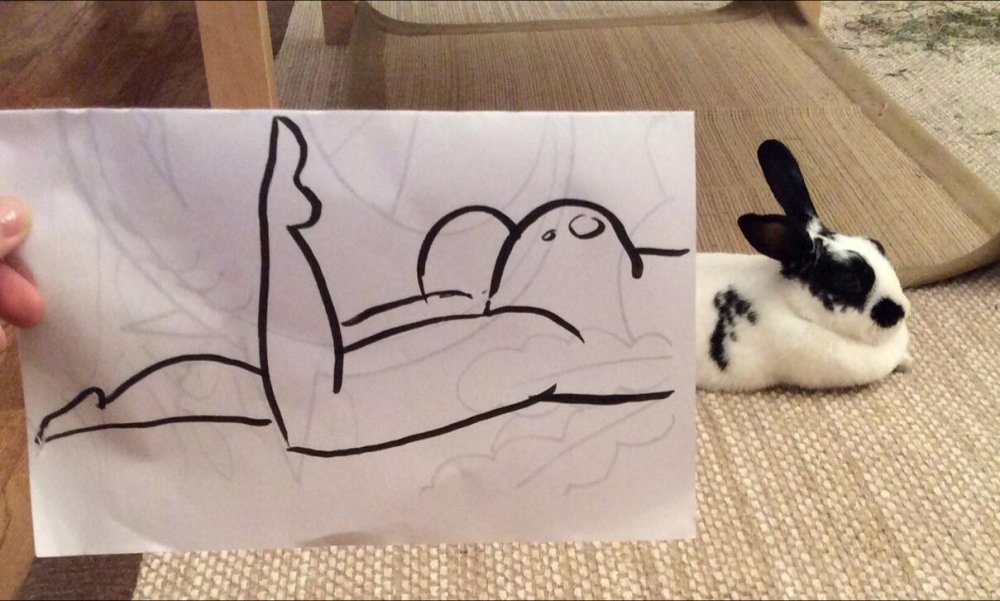 Кролик рисунок юмор