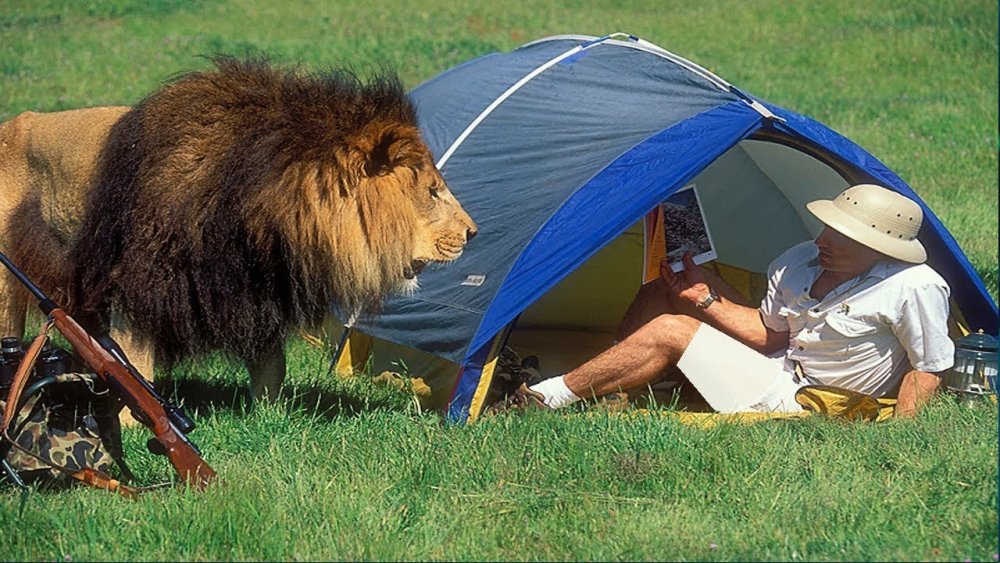 Животные в палатке