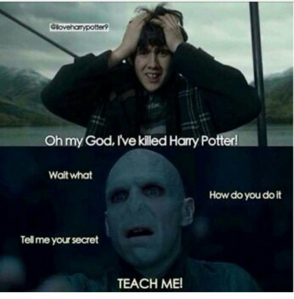 Harry Potter memes