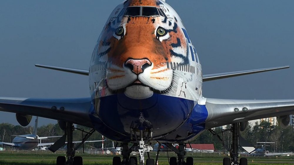 Боинг 747 Амурский тигр