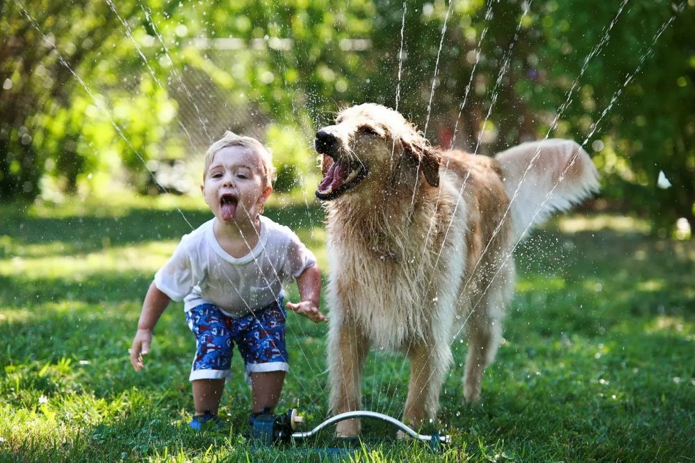 Счастливые дети и животные
