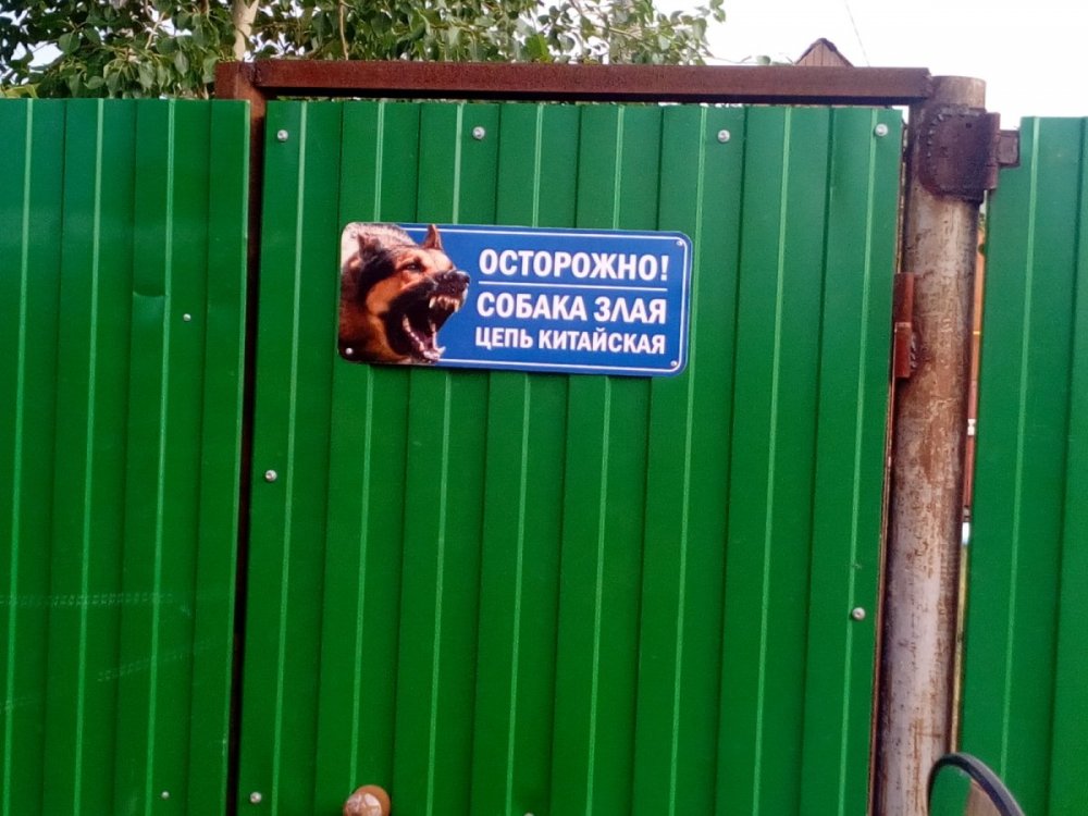 Смешные таблички на забор про собак