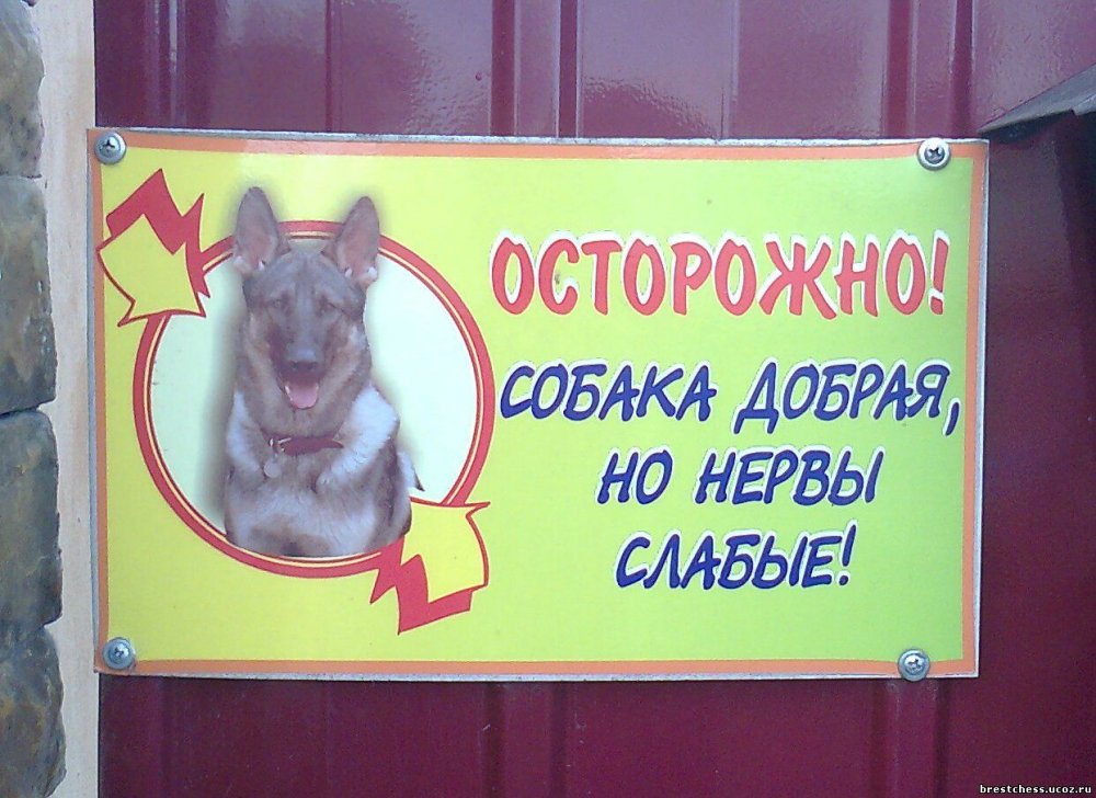Табличка на ворота злая собака