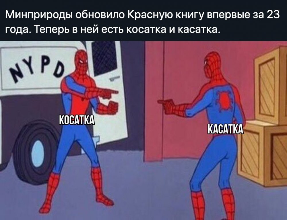 Кыргызстан Мем