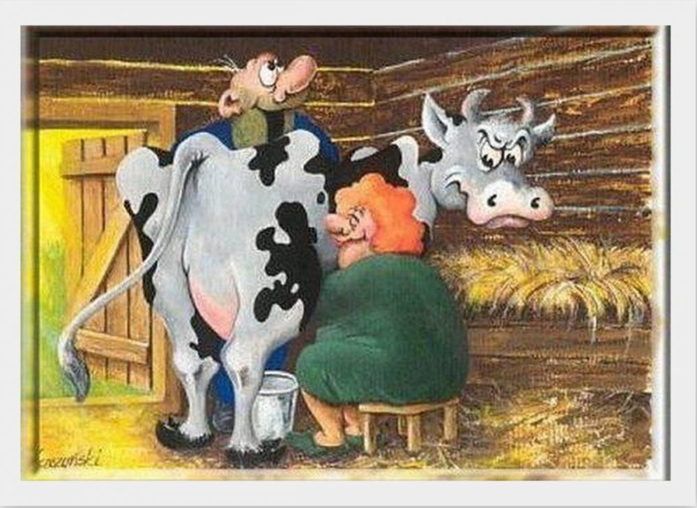 Шутки про коров