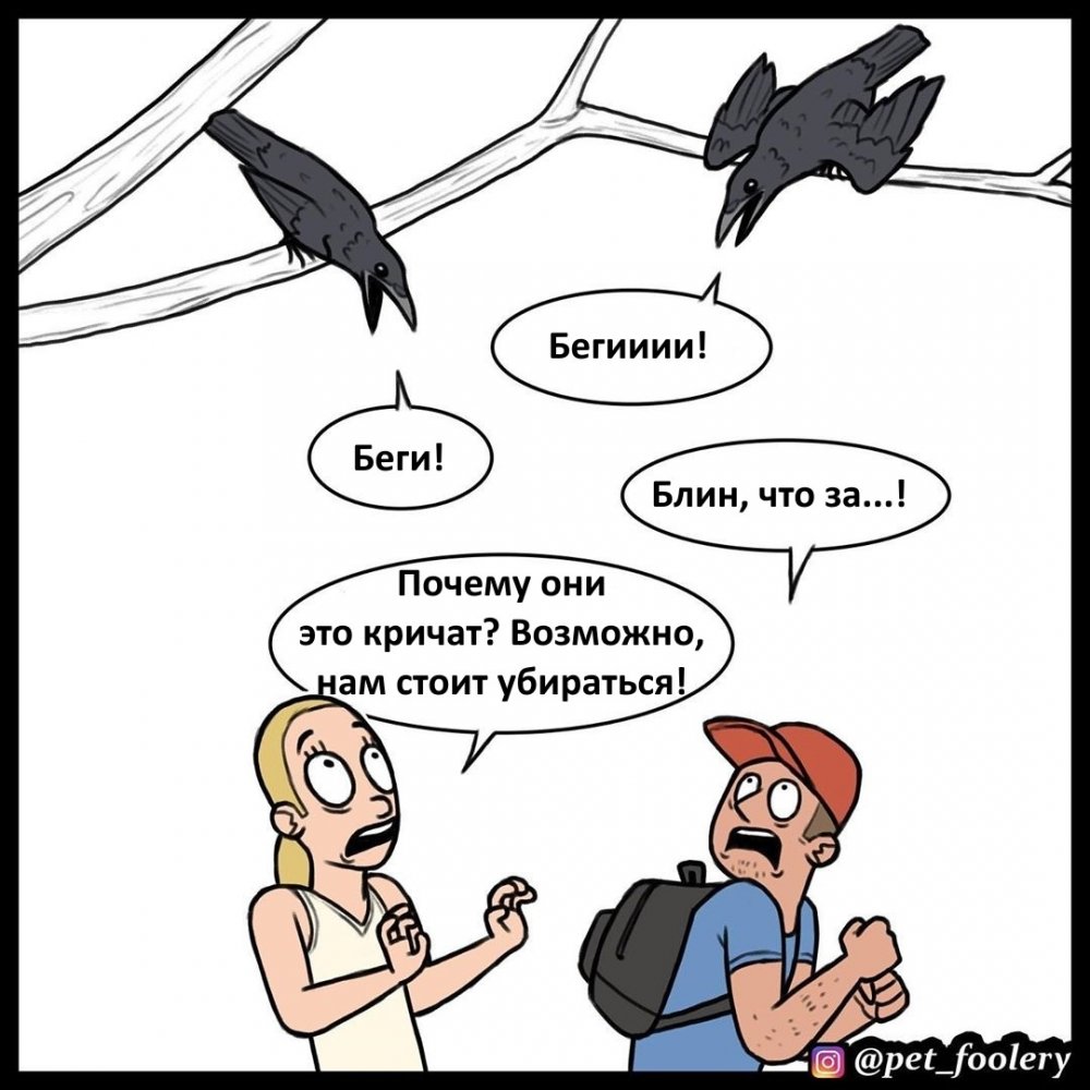 Комикс про ворону