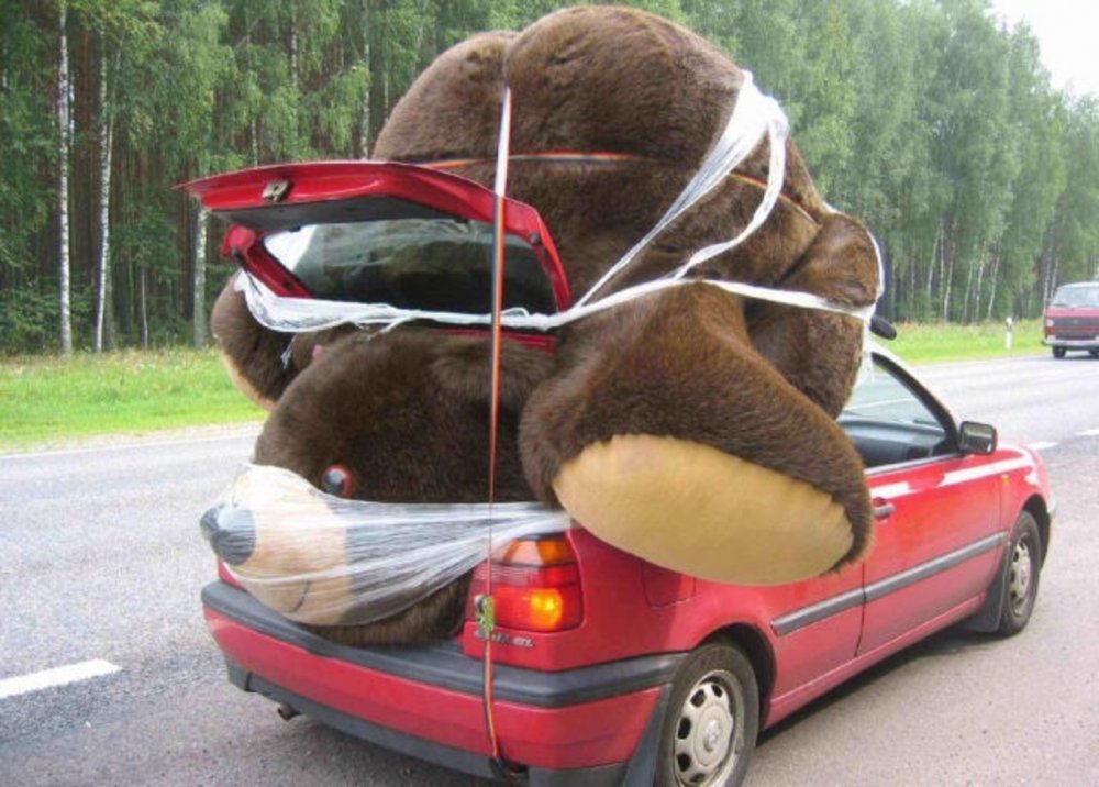 Плюшевый медведь в машине
