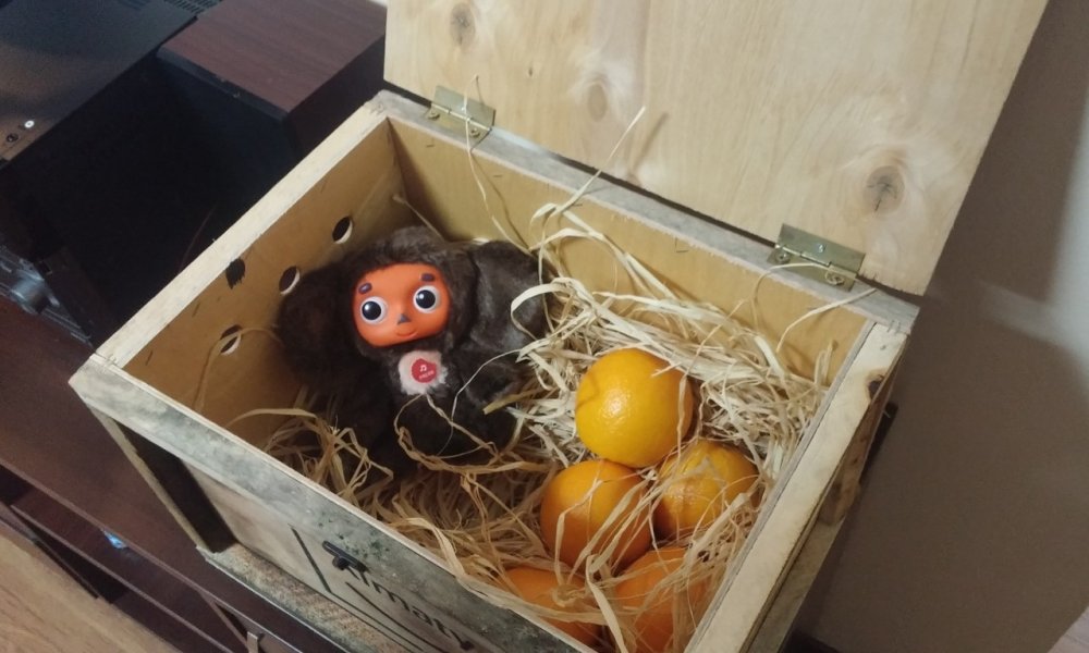 Чебурашка в ящике с апельсинами