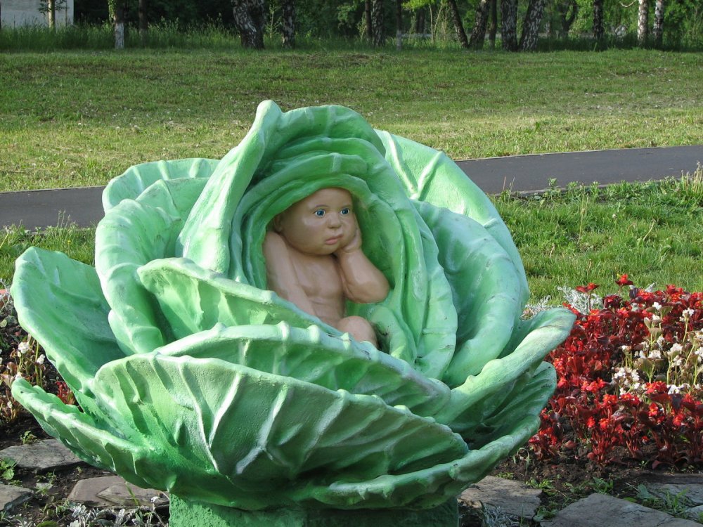 Памятник капуста с ребенком в Кемерово
