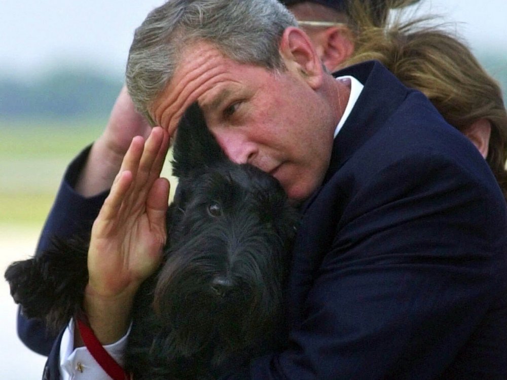 Джордж Буш младший с собаками