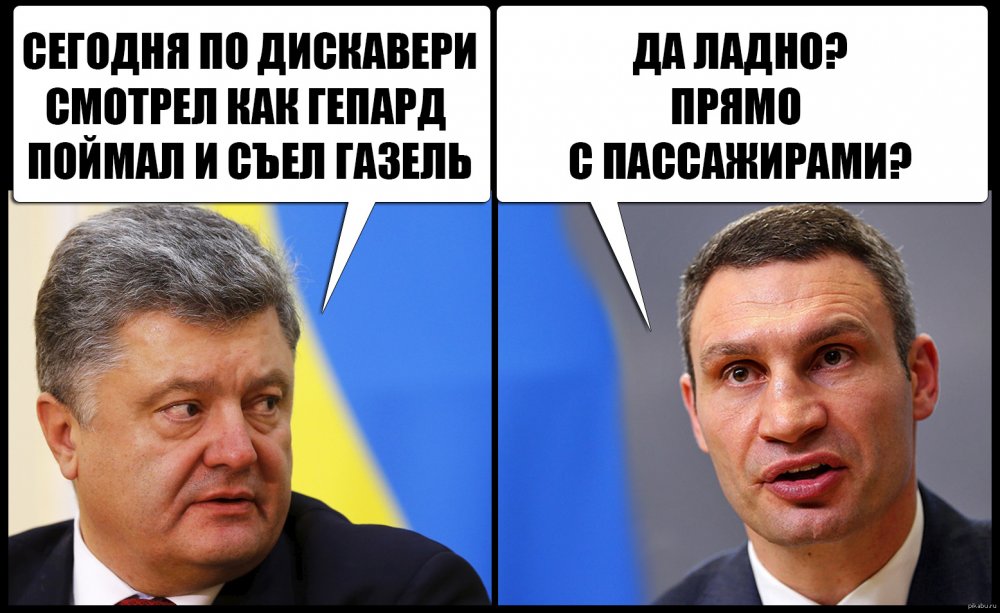 Смешные высказывания украинских политиков