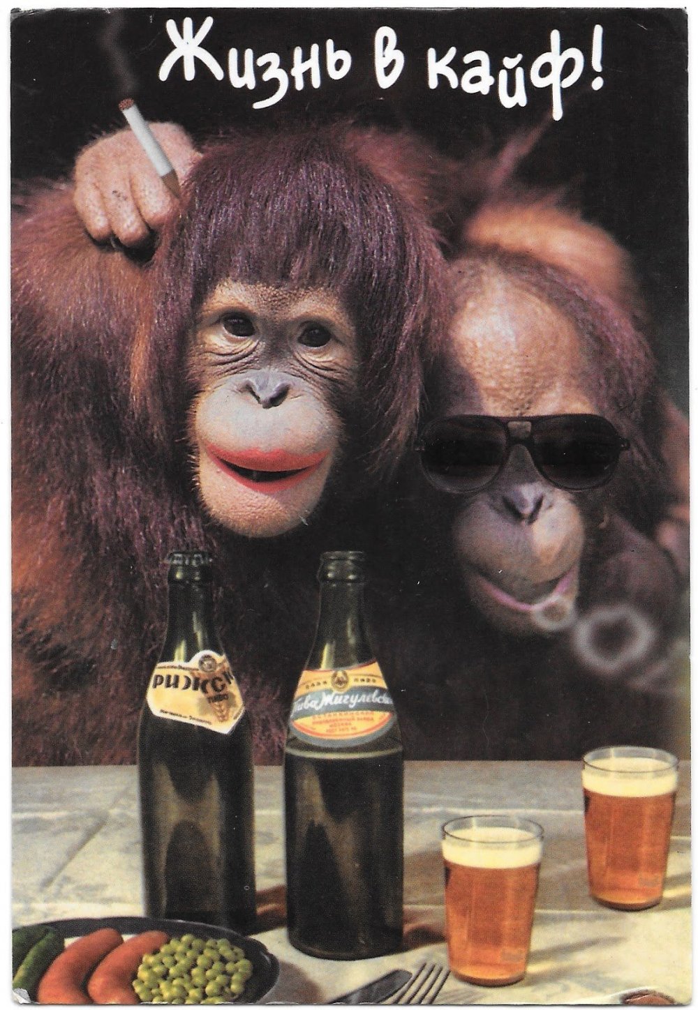 Две обезьяны с пивом
