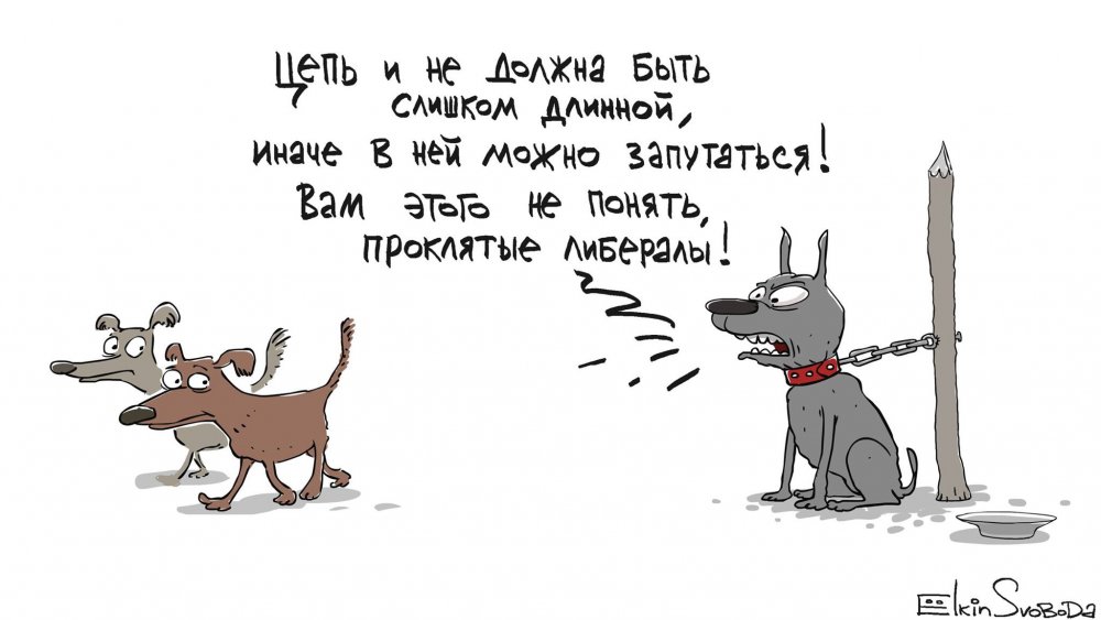 Карикатура собаки на цепи