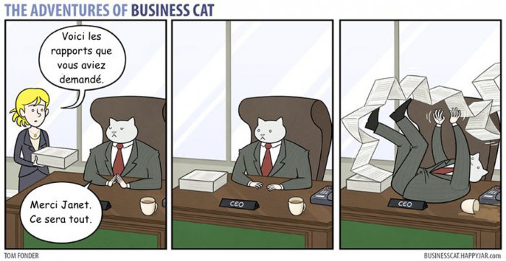 Бизнес кот Мем