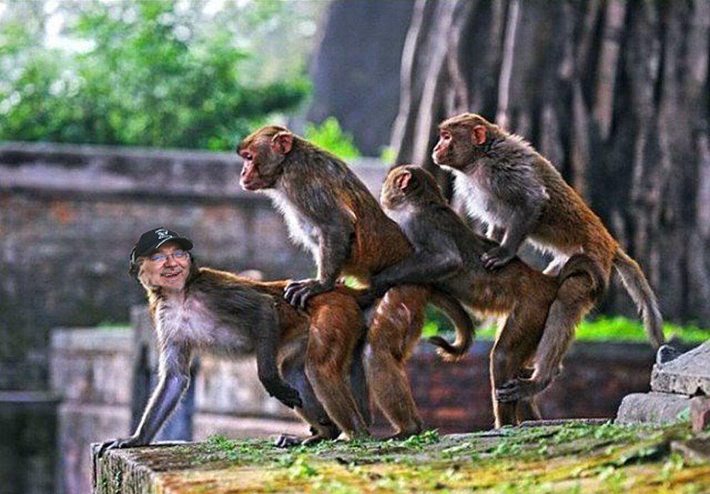 Спаривание обезьян