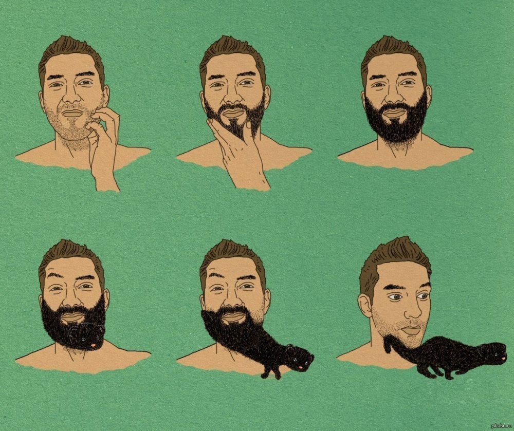 Приколы про бородатых парней