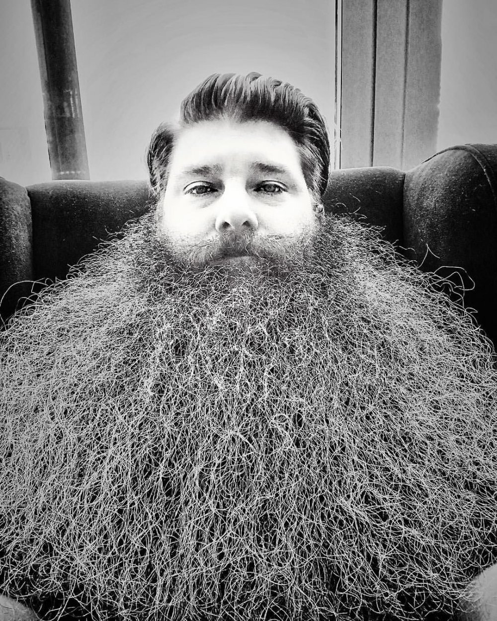 Мерлиновая борода