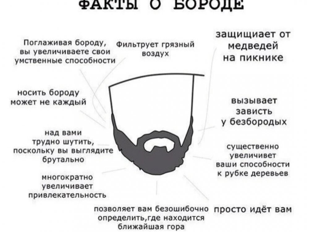 Фразы про бороду