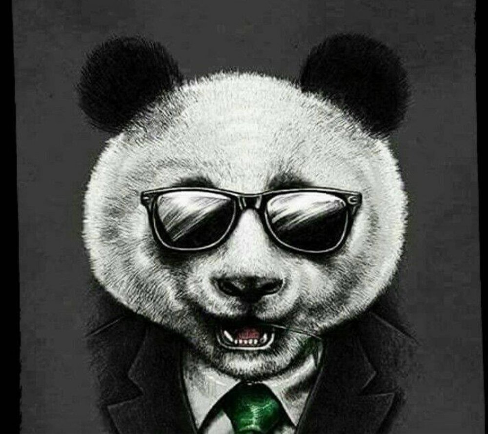 Панда в черных очках