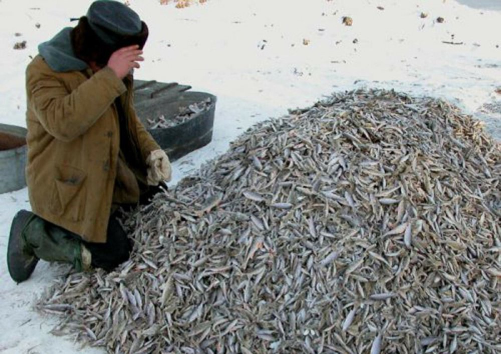Много рыбаков на льду