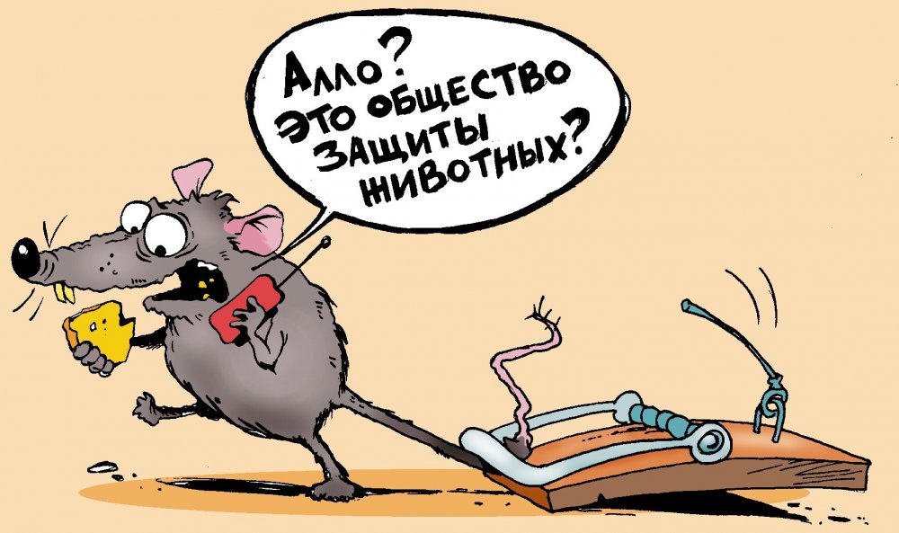Мышь в мышеловке карикатура