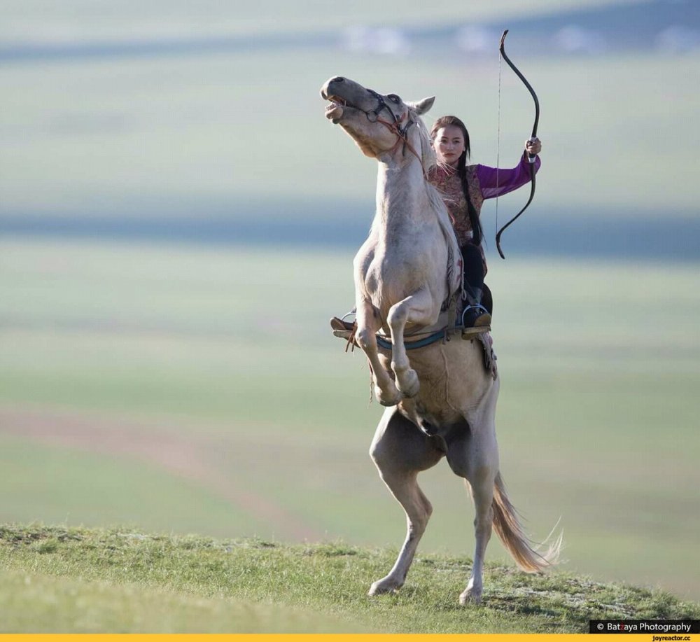 Монгольская девушка на коне
