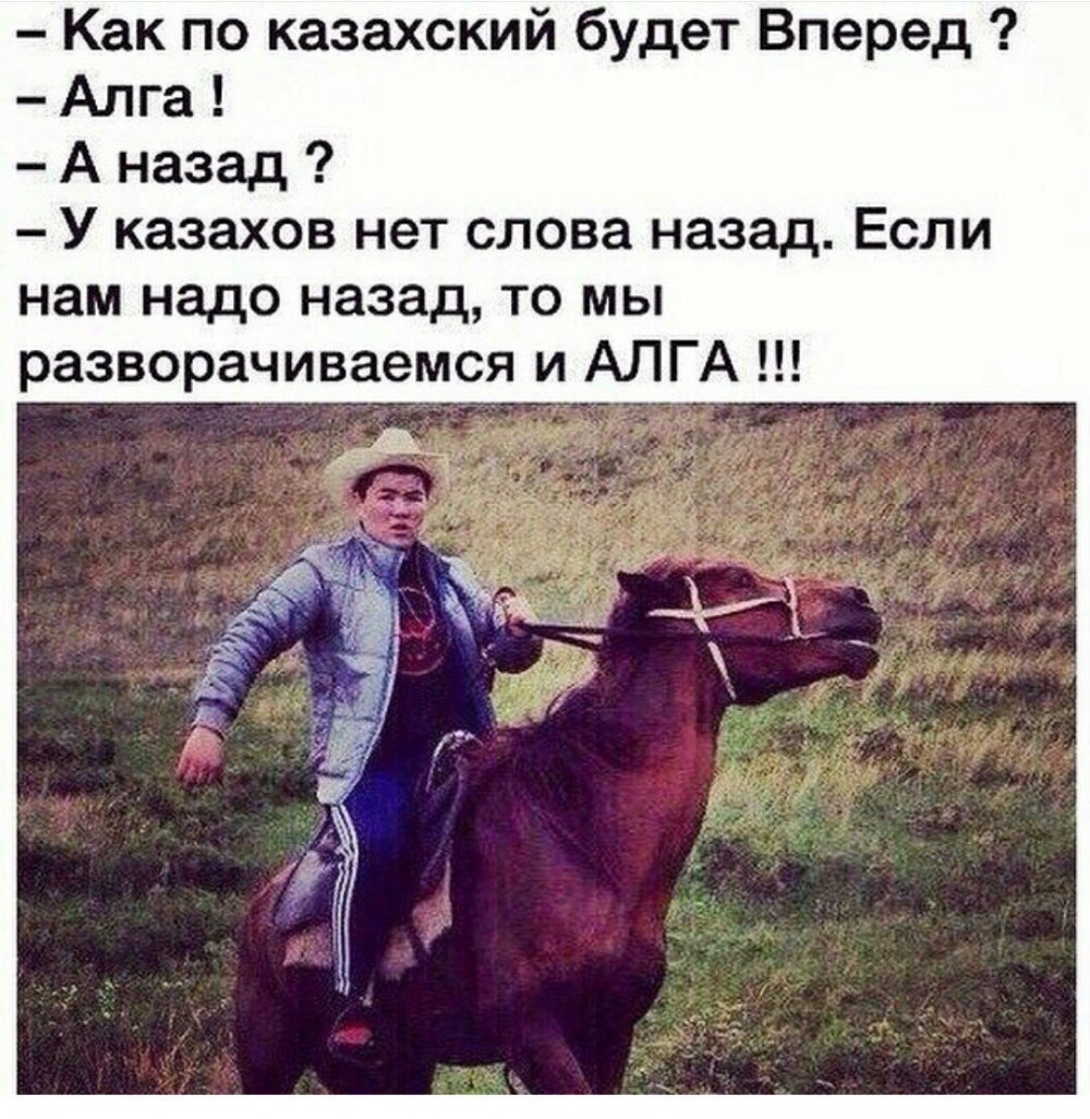 Смешные цитаты на казахском