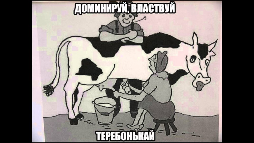 Доить коров смешно
