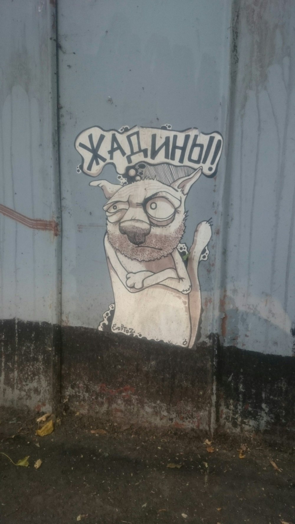 Жадины граффити кот