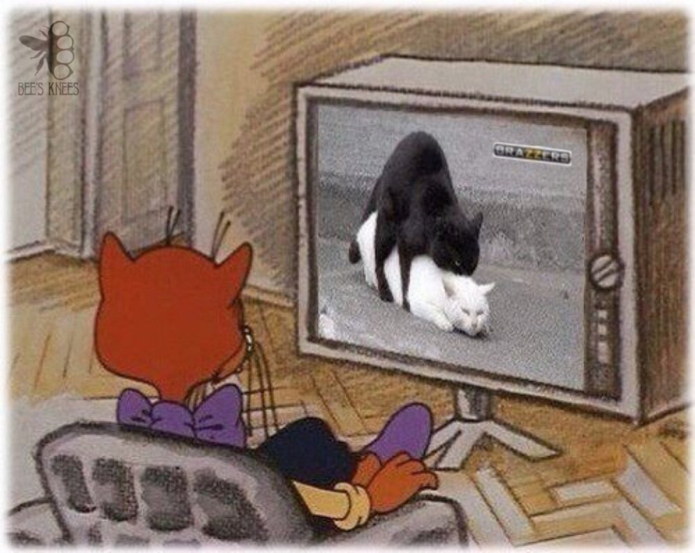 Мышь смотрит телевизор