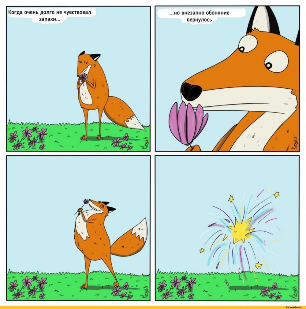 Комикс про лису