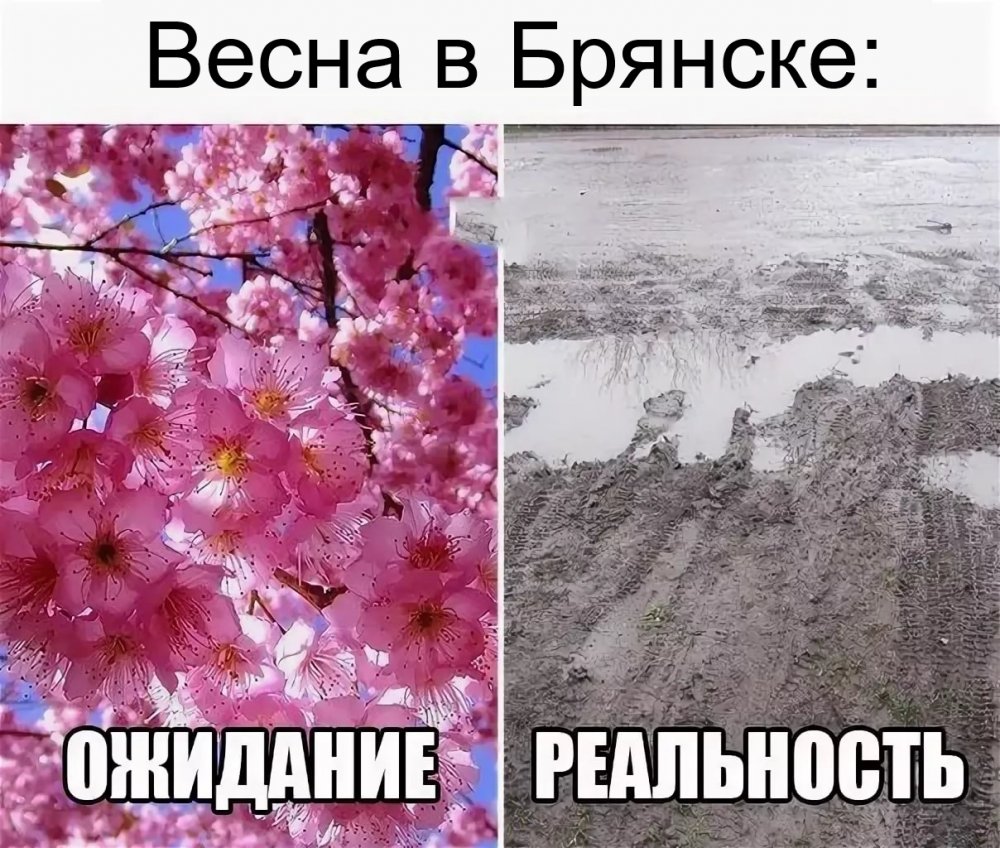 Мемы про весну