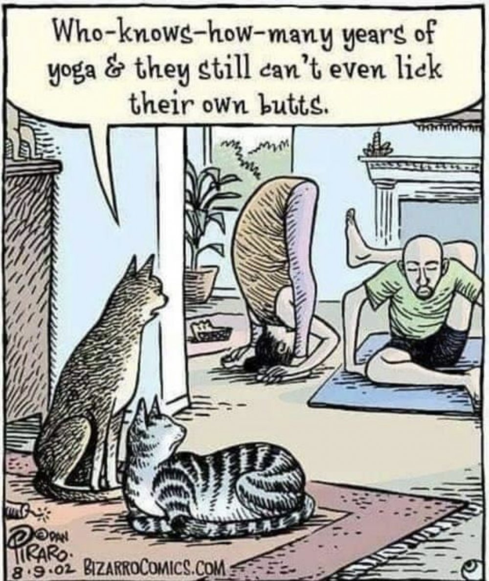Анекдоты про йогу