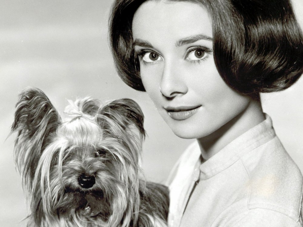Одри Хепберн с собакой