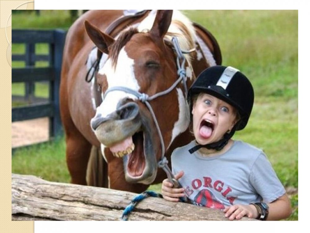 Лошадь улыбается с человеком