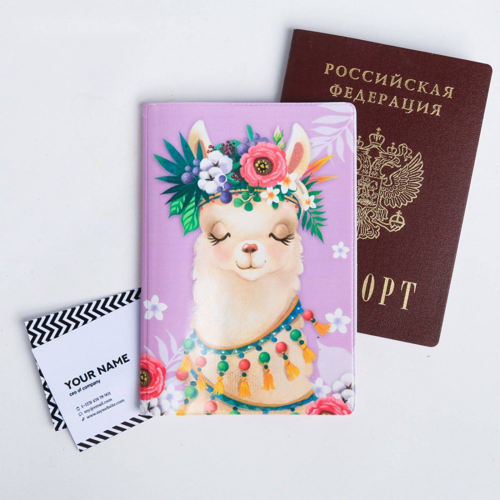 Обложки на паспорт красивые для девочек