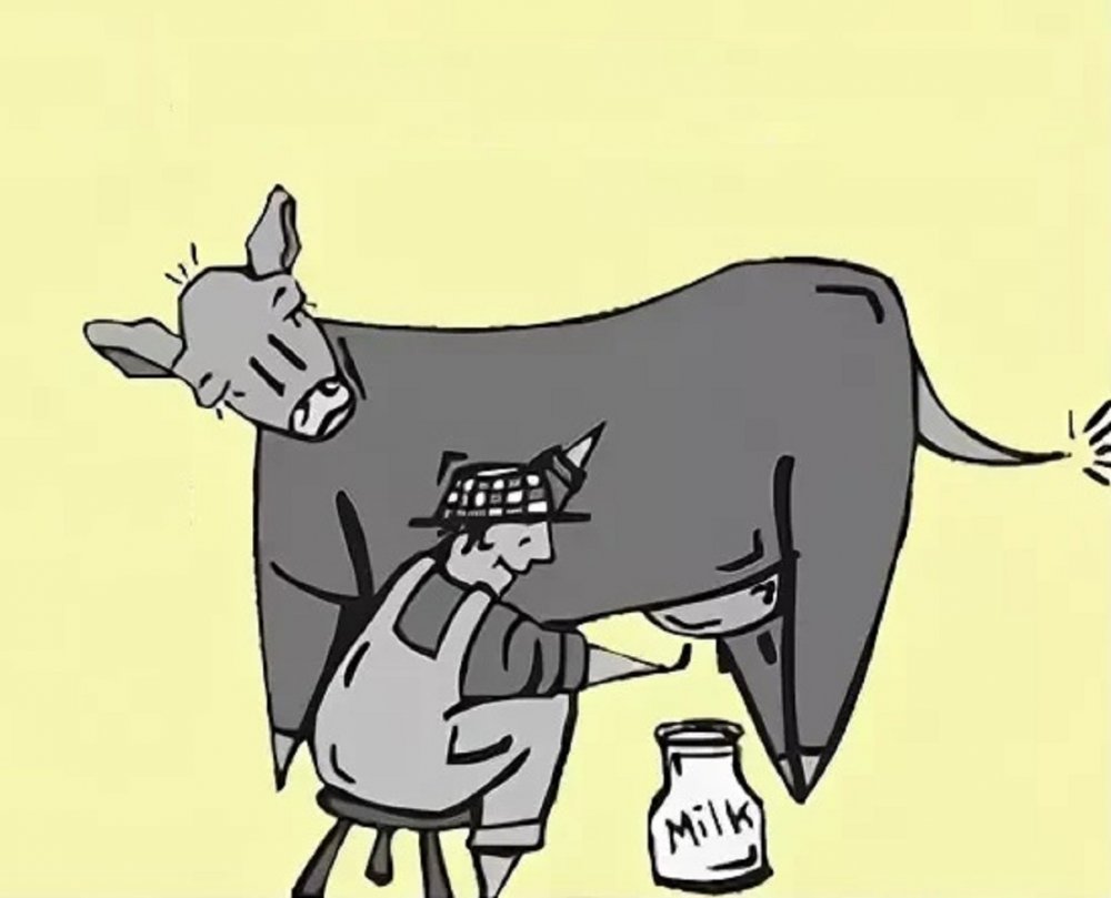 Корова карикатура