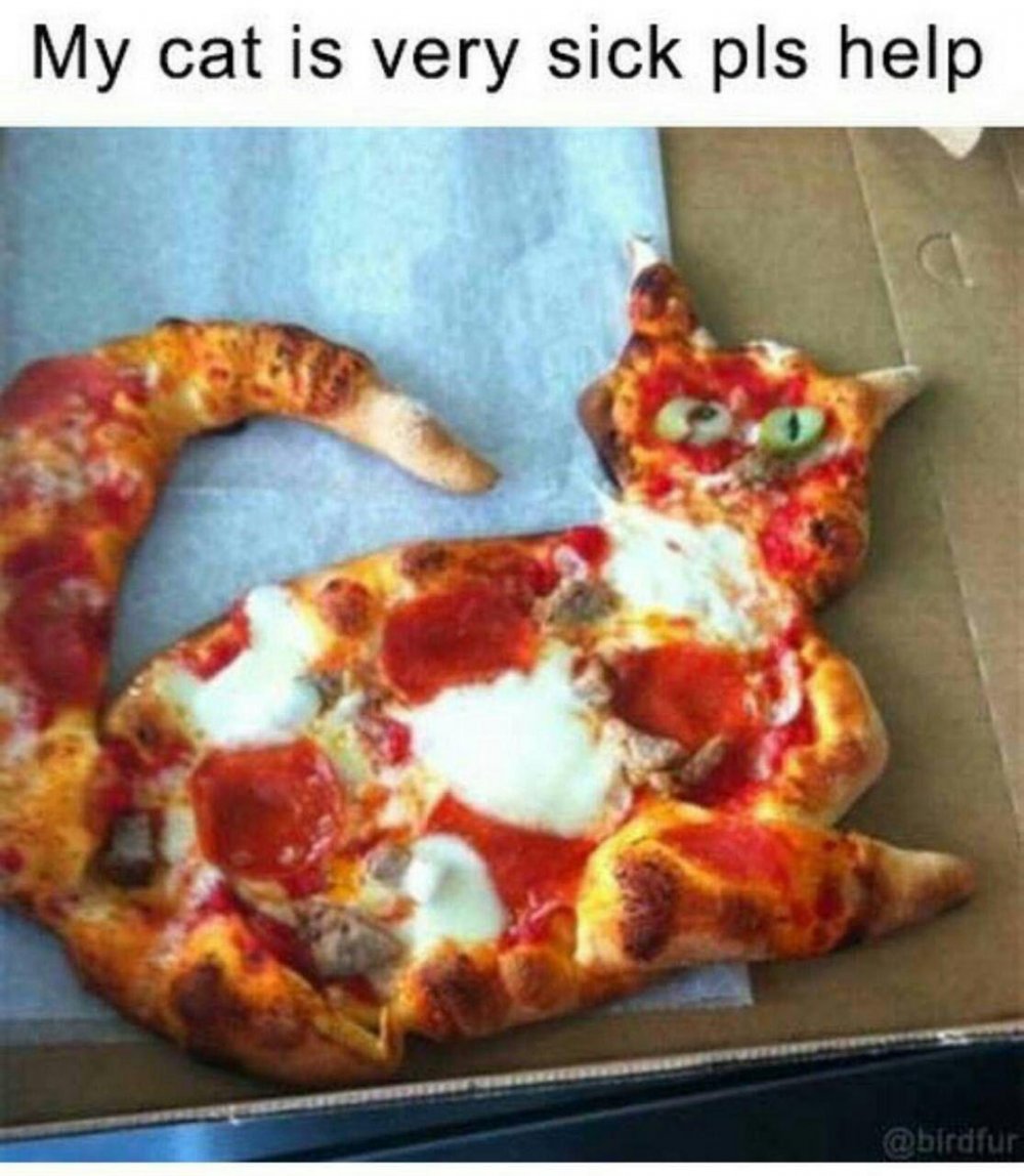 Пицца в виде кота