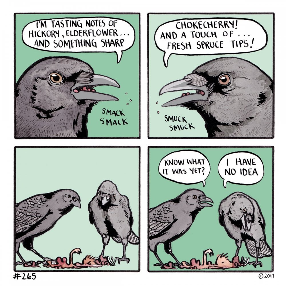Смешная ворона мемы