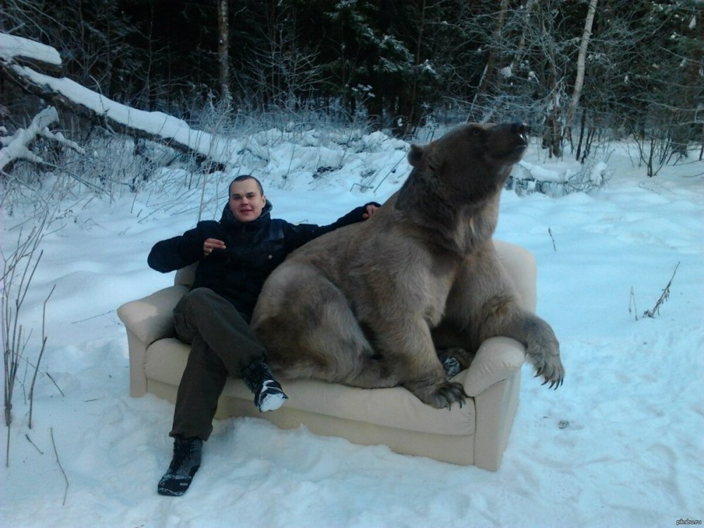 Русский мужик с медведем
