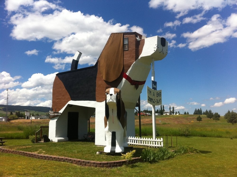 Дом-собака (Айдахо, США)
