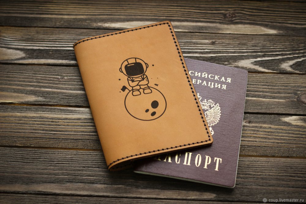 Обложка для паспорта кот