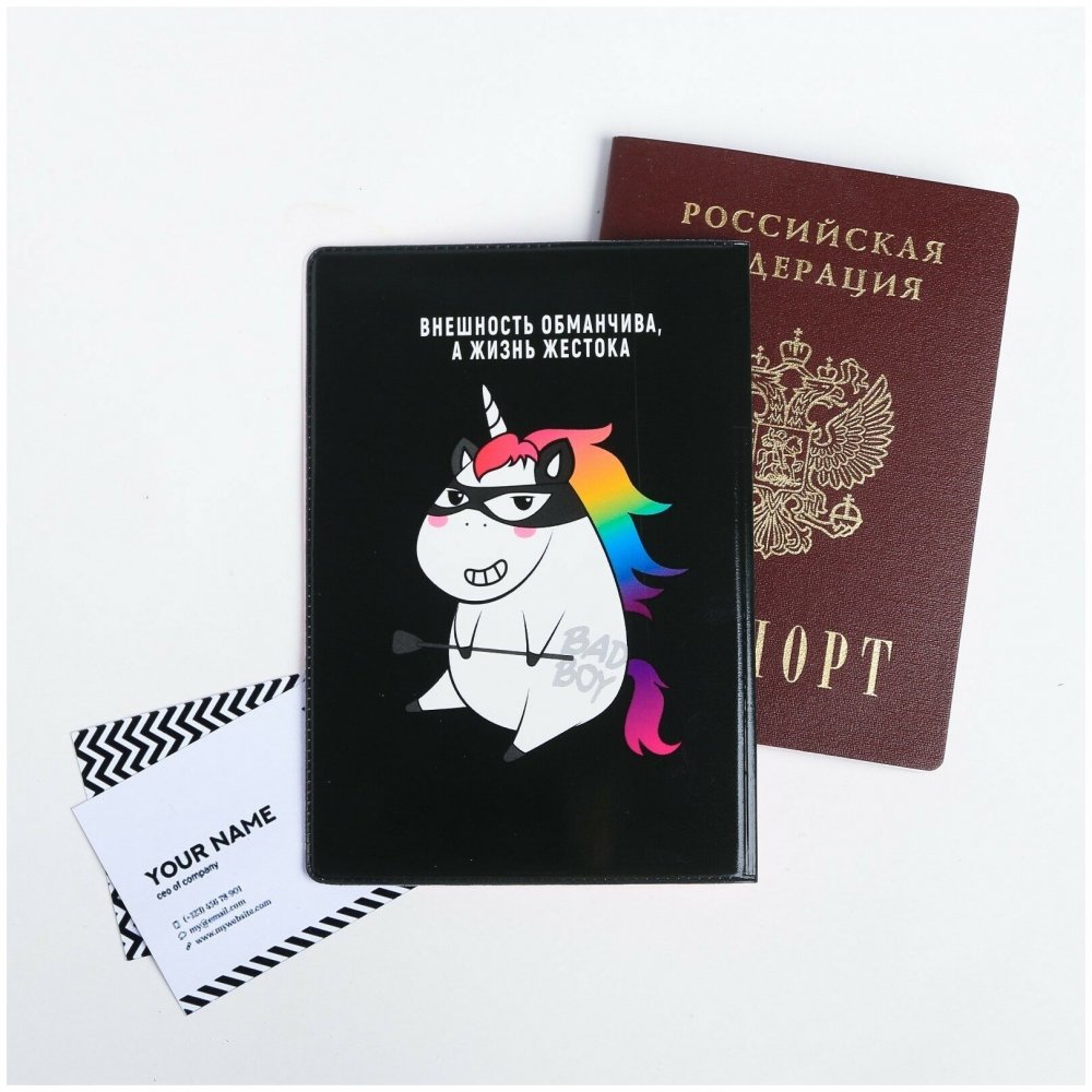 Веселые обложки на паспорт
