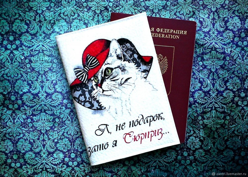 Обложка на паспорт прикольная