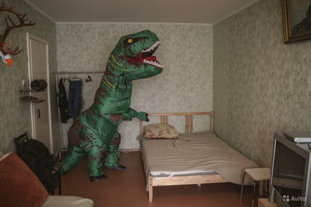 Динозавр в квартире