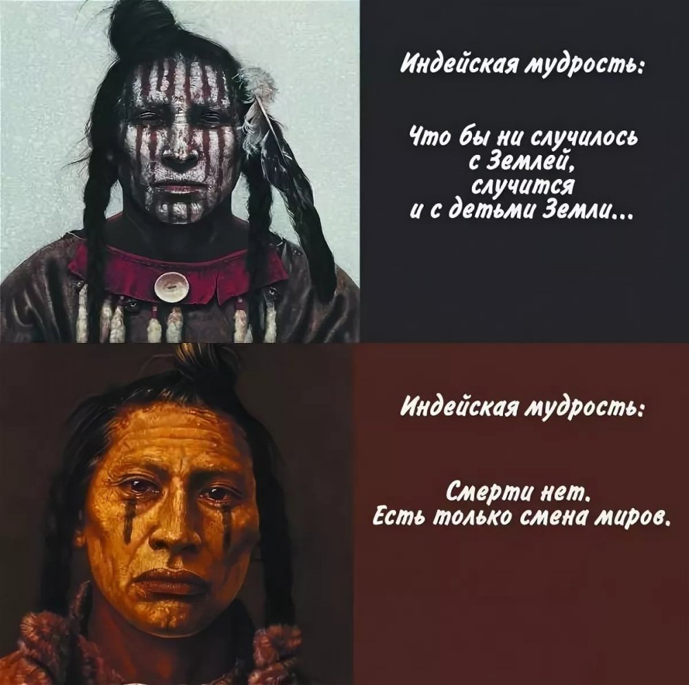 Мудрые высказывания индейских вождей