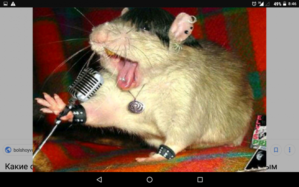 Мышь с микрофоном