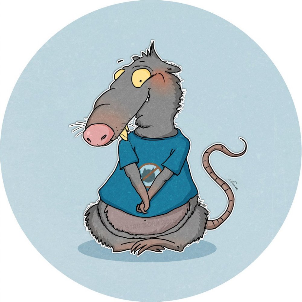 Смешное изображение крысы