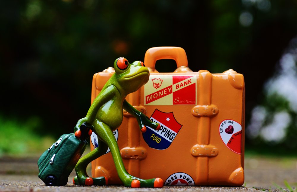 Жаба с чемоданом