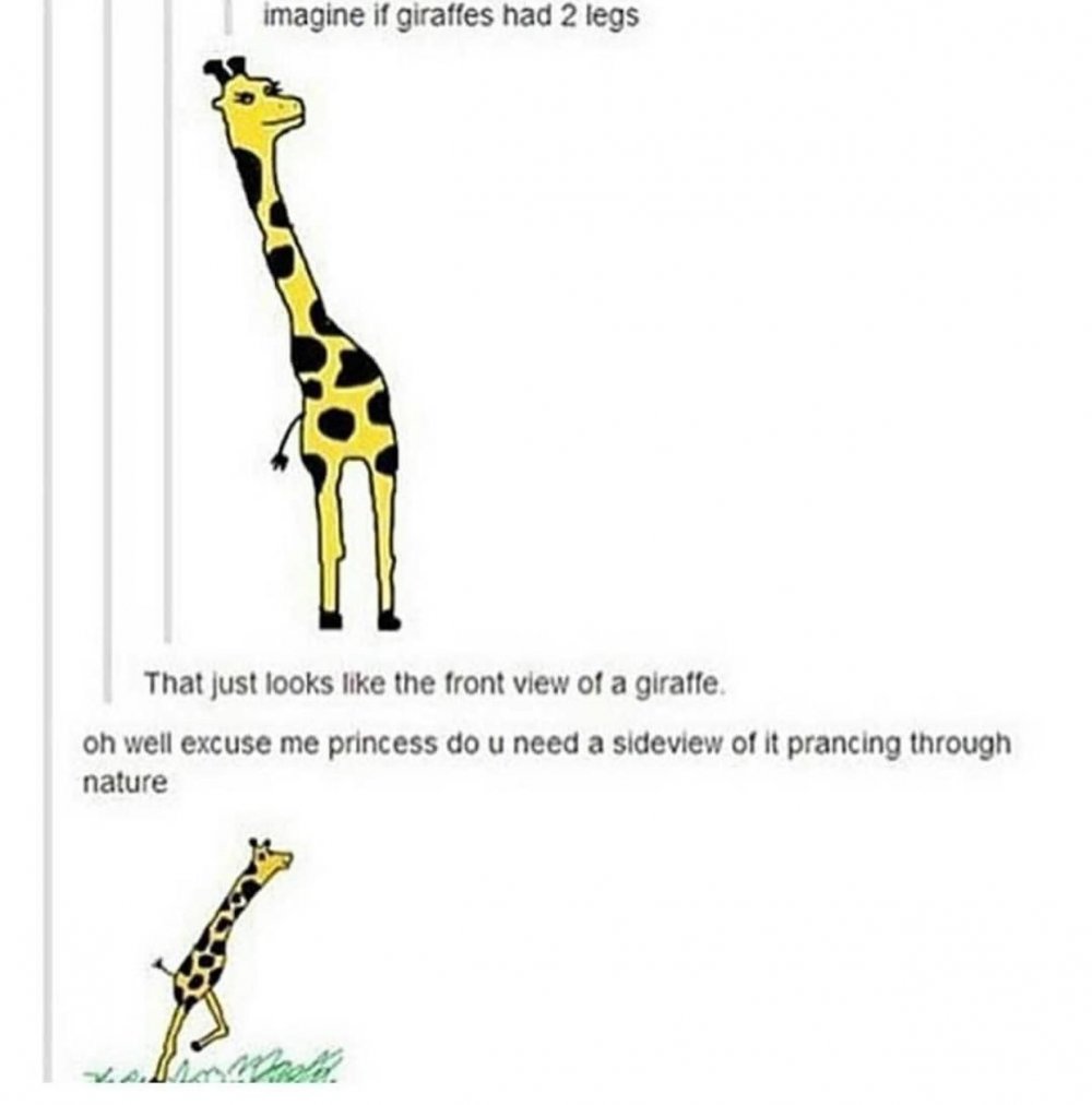 Жираф цитаты смешные